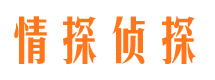 四川市婚姻调查